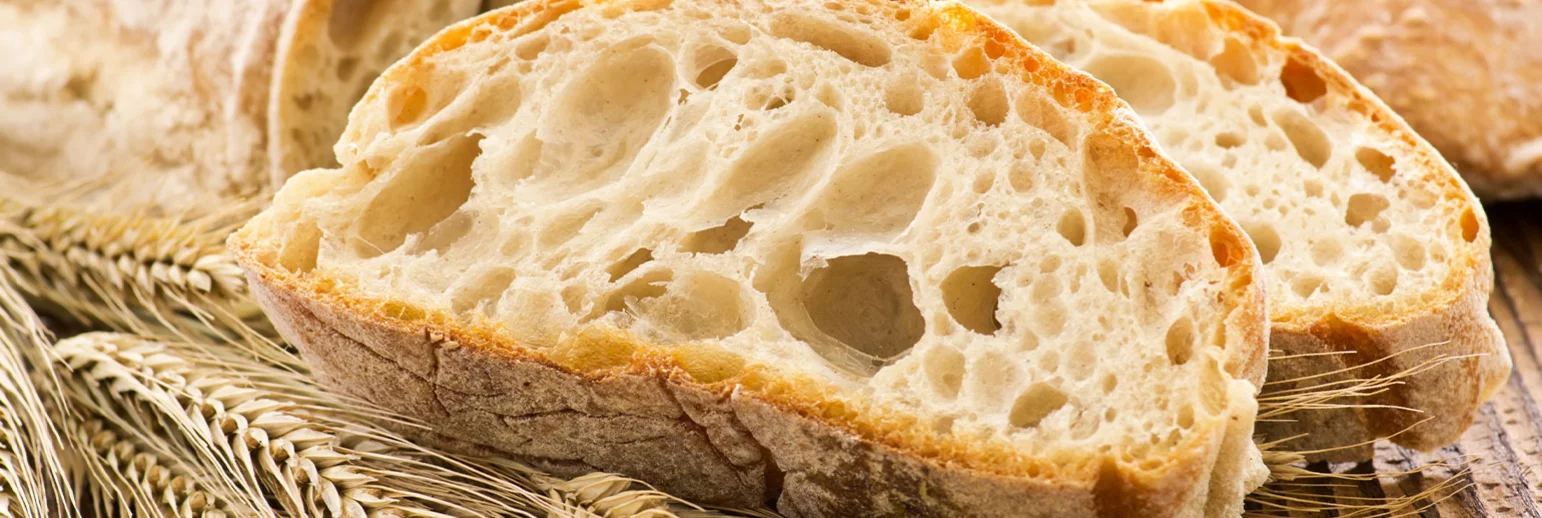 Psyllium – Das faszinierende Pulver der Flohsamenschale neu in EU-Bio Qualität  