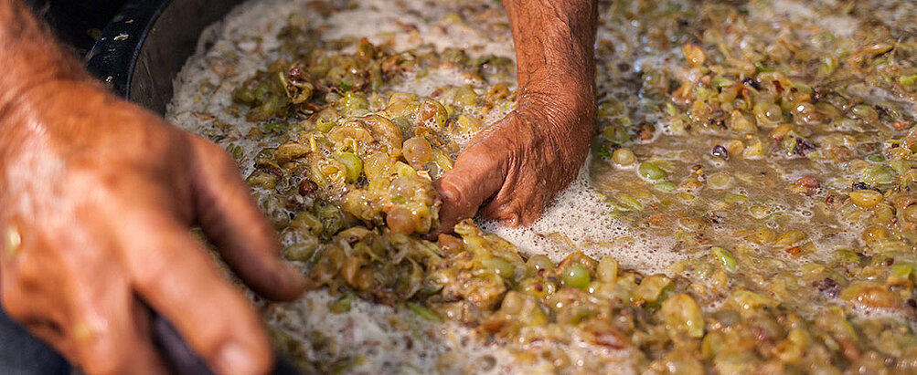 Fermentation von Trauben