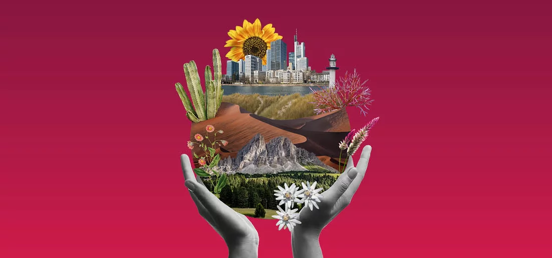 Global Beauty: Ein klimaresilienter Ansatz 