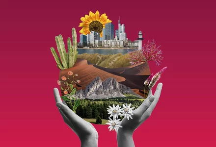 Global Beauty: Ein klimaresilienter Ansatz 