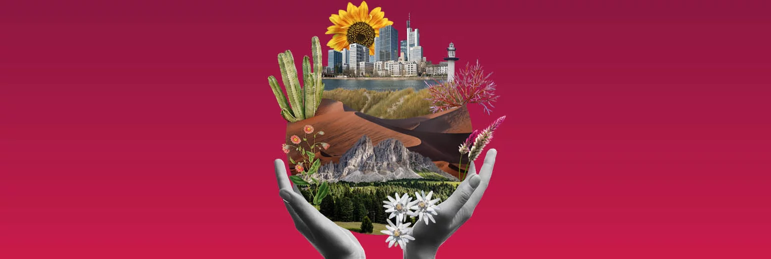 Global Beauty: Ein klimaresilienter Ansatz 