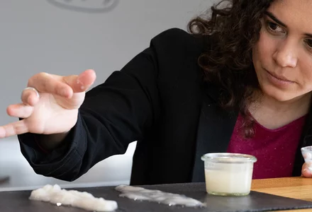 Für Ihre Herstellungsfreiheit nur das Beste: unsere Citrusfasern 