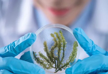 Lab-Grown Raw Materials – Biotechnology in Personal Care 