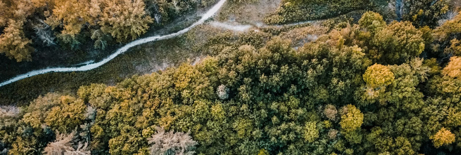 Die Effekte der «Regulation on Deforestation-free products (EUDR)» 