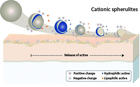 Spherulite Une Technologie D Encapsulation Unique Impag Schweiz