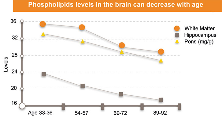 Phospholipids levels in the brain
